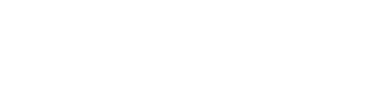 SYE